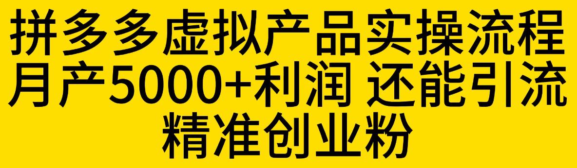 【副业项目6569期】拼多多虚拟产品实操流程，月产5000+利润，还能引流精准创业粉-春生副业网 
