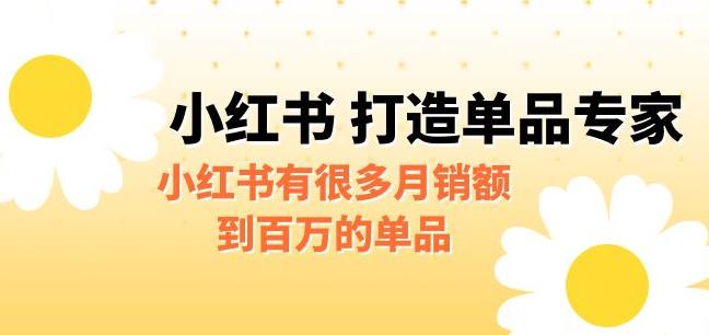 【副业项目6703期】某公众号付费文章《小红书打造单品专家》小红书有很多月销额到百万的单品-春生副业网 