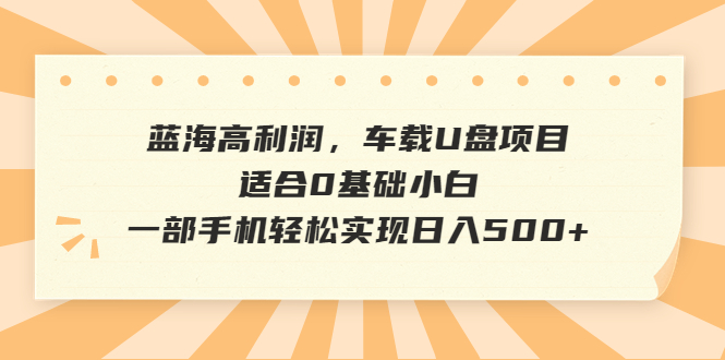 【副业项目6800期】蓝海高利润，车载U盘项目，适合0基础小白，一部手机轻松实现日入500+-春生副业网 