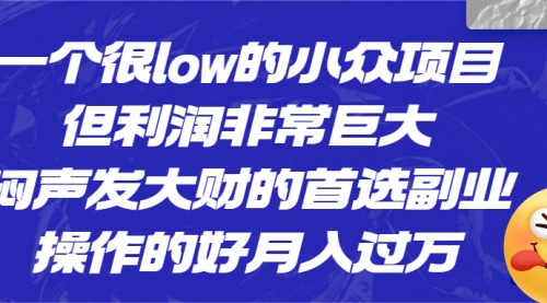 【副业项目6782期】一个很low的小众项目，但利润非常巨大，闷声发大财的首选副业，月入过万-春生副业网 