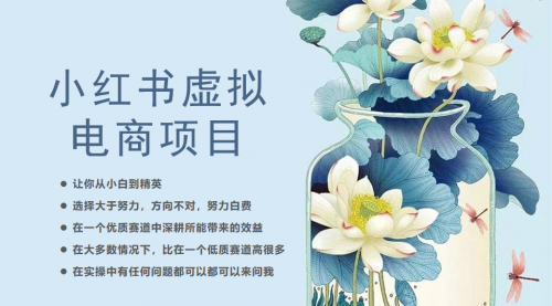 【副业项目6786期】小红书虚拟电商从0到1，让你从小白到精英（20节实操课程）-春生副业网 