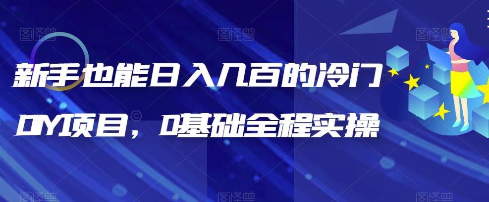 【副业项目6865期】新手也能日入几百的冷门DIY项目，0基础全程实操【揭秘】-春生副业网 