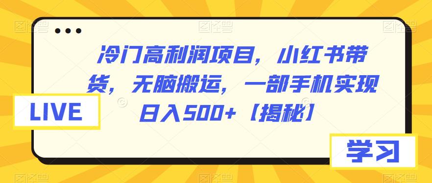 【副业项目6875期】冷门高利润项目，小红书带货，无脑搬运，一部手机实现日入500+【揭秘】-春生副业网 