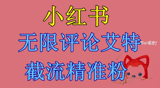 【副业项目6846期】小红书无限评论艾特截流精准粉（软件+教程）-春生副业网 