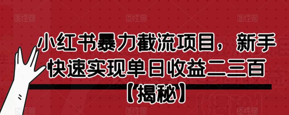 【副业项目6889期】小红书暴力截流项目，新手快速实现单日收益二三百【仅揭秘】-春生副业网 