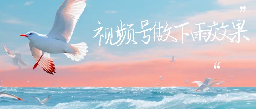 【副业项目6913期】视频号做下雨视频一个账号一周涨粉10W+年入100w-春生副业网