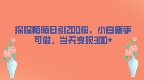 【副业项目7026期】探探陌陌日引200粉，小白新手可做，当天就能变现300+-春生副业网 