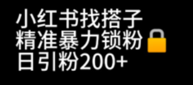 【副业项目7040期】小红书找搭子暴力精准锁粉+引流日引200+精准粉-春生副业网 