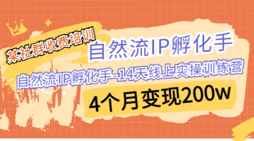 【副业项目7109期】自然流IP孵化手-14天线上实操训练营 4个月变现200w-春生副业网 