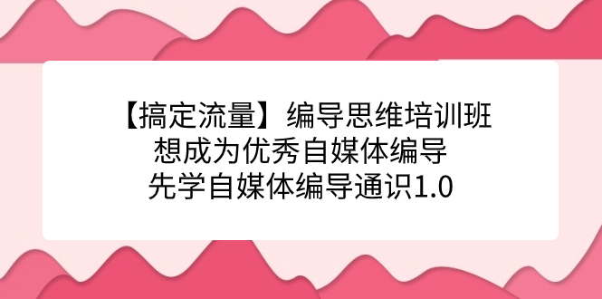 【副业项目7456期】编导思维培训班，想成为优秀自媒体编导先学自媒体编导通识1.0-春生副业网 
