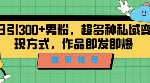 【副业项目7191期】独家推荐！日引300+男粉，超多种私域变现方式-春生副业网 