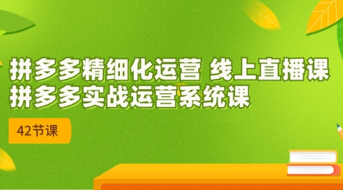 【副业项目7292期】2023年新课-拼多多精细化运营-春生副业网 