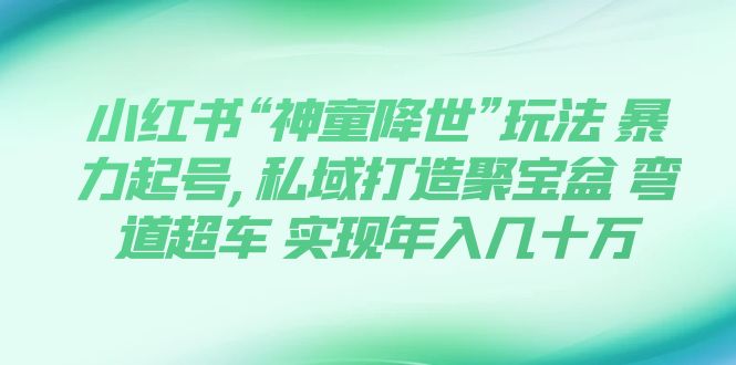 【副业项目7983期】小红书“神童降世”玩法 暴力起号,私域打造聚宝盆-春生副业网 