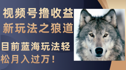 【副业项目8271期】视频号撸收益新玩法之狼道，目前蓝海玩法轻松月入过万！-春生副业网 