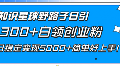 【副业项目8492期】知识星球野路子日引300+白领创业粉-春生副业网 