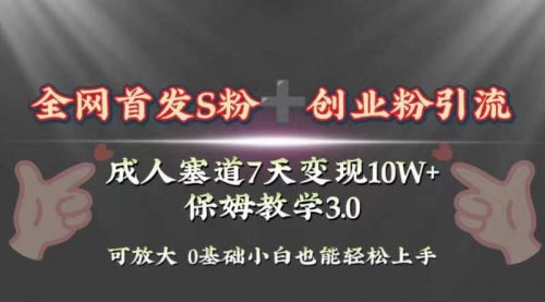 【副业项目8506期】成人用品赛道7天变现10w+保姆教学3.0-春生副业网 