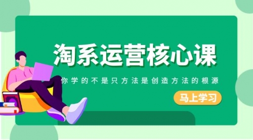 【副业项目8556期】淘系-运营核心课，你学的不是只方法是创造方法的根源-春生副业网 