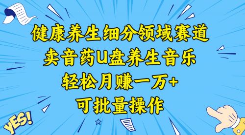 【副业项目8638期】健康养生细分领域赛道，卖音药U盘养生音乐，轻松月赚一万+，可批量操作-春生副业网 