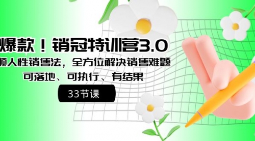 【副业8705期】销冠特训营3.0之顺人性销售法，全方位解决销售难题、可落地-春生副业网 