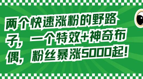 【副业8723期】两个快速涨粉的野路子，一个特效+神奇布偶，粉丝暴涨5000起！-春生副业网 