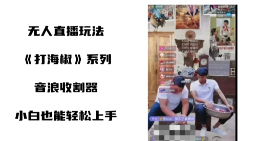 【副业8766期】打海椒无人直播整蛊项目，小白轻松上手撸音浪收割器（教程+工具+素材）-春生副业网 