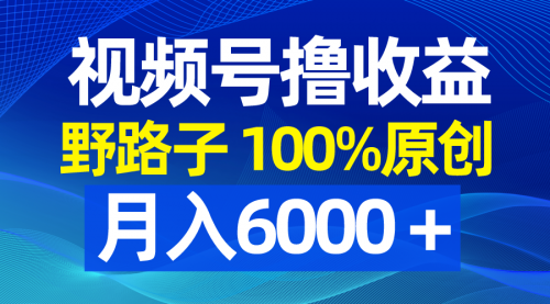 【副业8771期】视频号野路子撸收益，100%原创，条条爆款，月入6000＋-春生副业网 