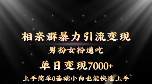 【副业8845期】相亲群暴力引流男粉女粉通吃变现玩法，单日变现7000+保姆教学1.0-春生副业网 