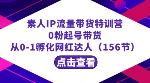 【副业8847期】繁星·计划素人IP流量带货特训营：0粉起号带货 从0-1孵化网红达人（156节）-春生副业网 