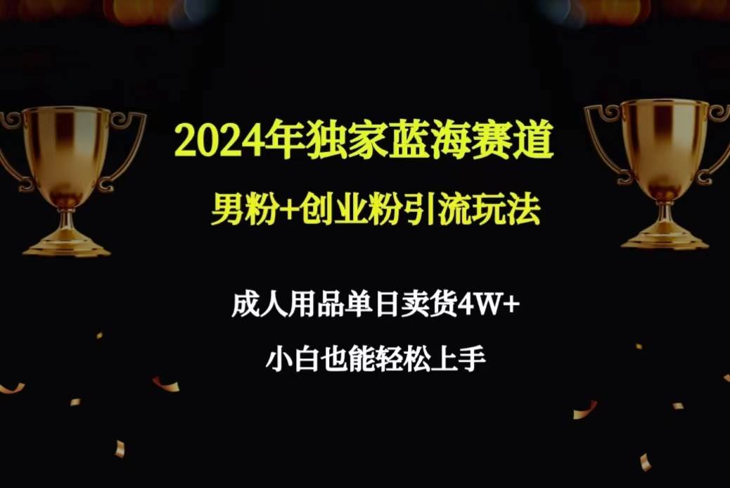 2024年独家蓝海赛道男粉+创业粉引流玩法，成人用品单日卖货4W+保姆教程-春生副业网 
