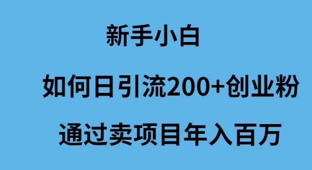 新手小白如何日引流200+创业粉通过卖项目年入百万-春生副业网 