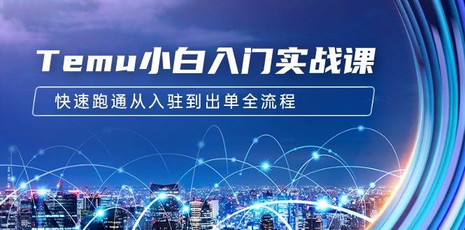 Temu小白入门实战课：跨境拼多多电商培训 快速跑通从入驻到出单全流程-12节-春生副业网 
