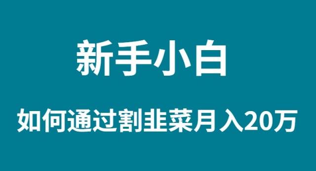新手小白如何通过割韭菜月入 20W-春生副业网 