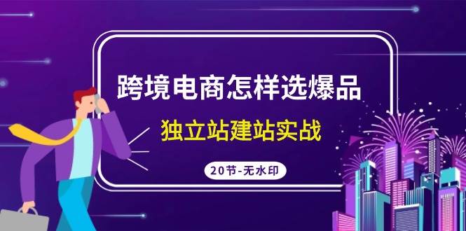 跨境电商怎样选爆品，独立站建站实战（20节高清无水印课）-春生副业网 
