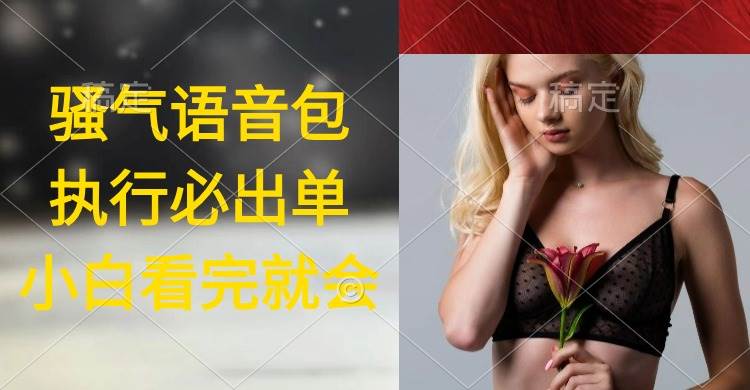 执行就出单，日入2000+，超火骚气语音包，小白看完课程就能马上实操-春生副业网 