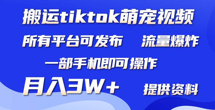 搬运Tiktok萌宠类视频，一部手机即可。所有短视频平台均可操作，月入3W+-春生副业网 