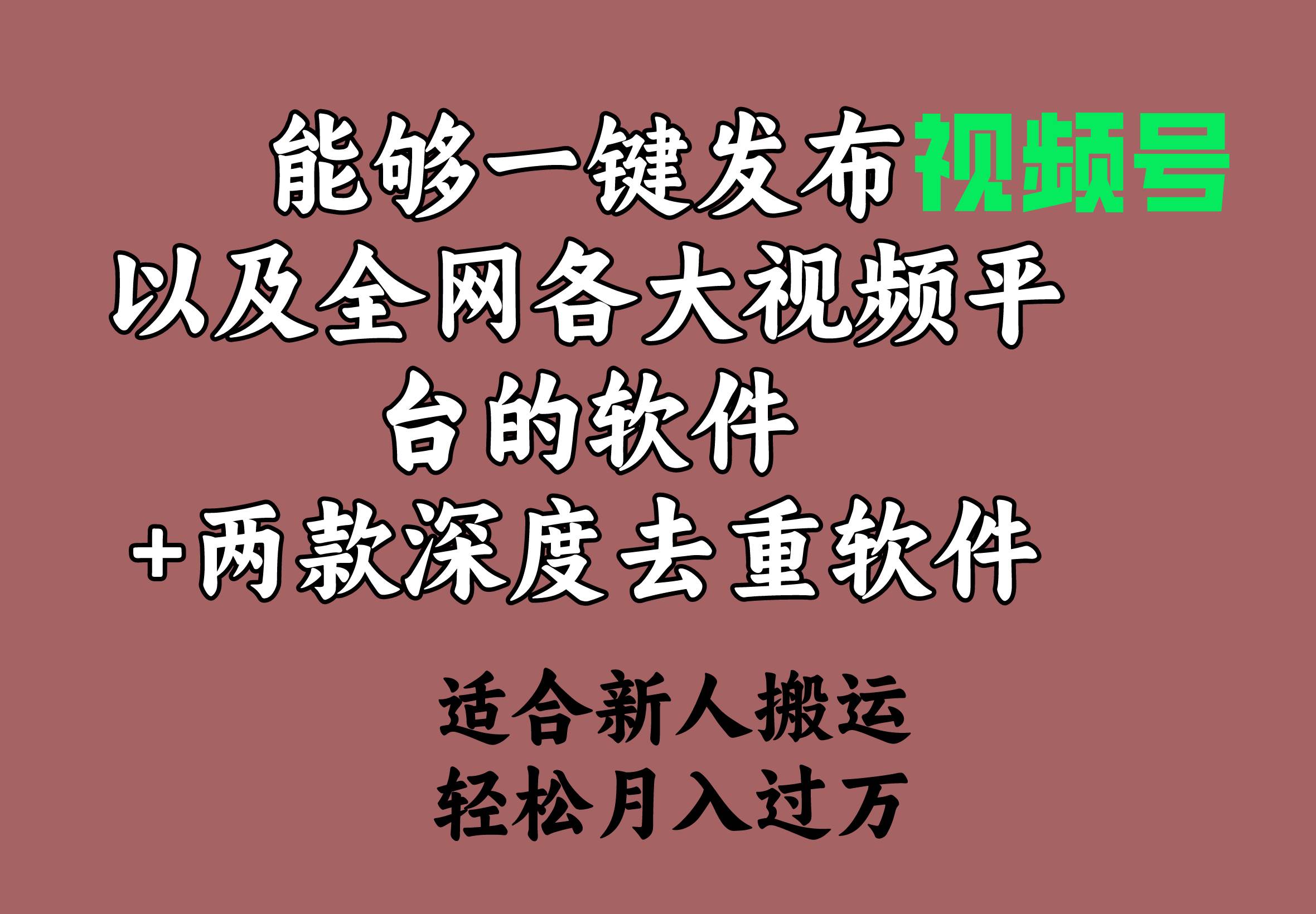 能够一键发布视频号以及全网各大视频平台的软件+两款深度去重软件 适合…-春生副业网 