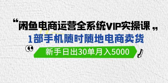 闲鱼电商运营全系统VIP实战课，1部手机随时随地卖货，新手日出30单月入5000-春生副业网 