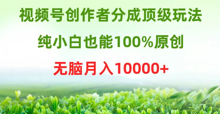 视频号创作者分成顶级玩法，纯小白也能100%原创，无脑月入10000+-春生副业网 