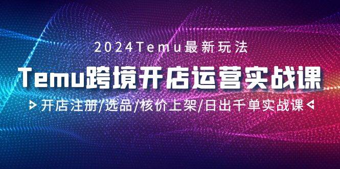 2024Temu跨境开店运营实战课，开店注册/选品/核价上架/日出千单实战课-春生副业网 