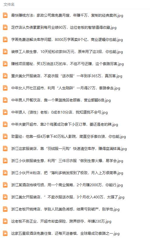 真实有效391套商业模式，年入几十到几百万案例解析（电子书+视频+图文）插图2