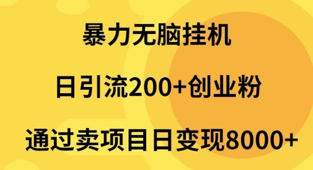 暴力无脑挂机日引流200+创业粉通过卖项目日变现2000+-春生副业网 