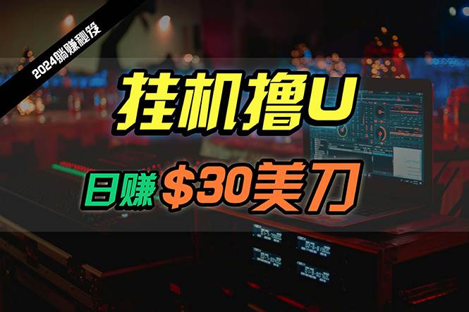 日赚30美刀，2024最新海外挂机撸U内部项目，全程无人值守，可批量放大-春生副业网 