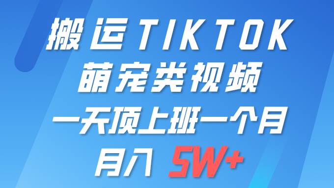 一键搬运TIKTOK萌宠类视频 一部手机即可操作 所有平台均可发布 轻松月入5W+-春生副业网 