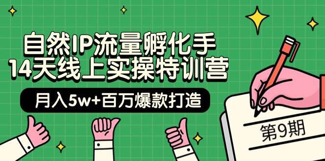 自然IP流量孵化手 14天线上实操特训营【第9期】月入5w+百万爆款打造 (74节)-春生副业网 