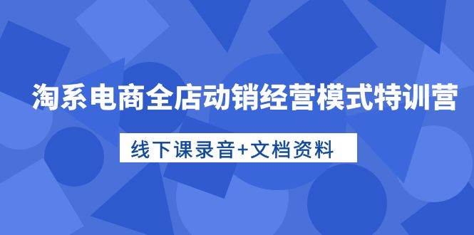 淘系电商全店动销经营模式特训营，线下课录音+文档资料-春生副业网 