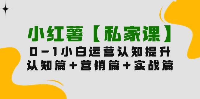 小红薯【私家课】0-1玩赚小红书内容营销，认知篇+营销篇+实战篇（11节课）-春生副业网 