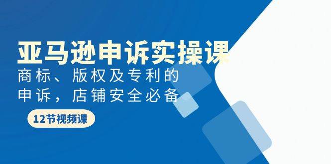 亚马逊-申诉实战课，商标、版权及专利的申诉，店铺安全必备-春生副业网 