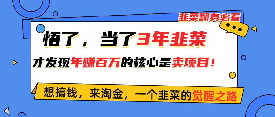 悟了，当了3年韭菜，才发现网赚圈年赚100万的核心是卖项目，含泪分享！-春生副业网 