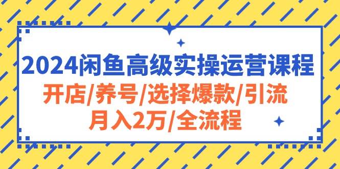2024闲鱼高级实操运营课程:开店/养号/选择爆款/引流/月入2万/全流程-春生副业网
