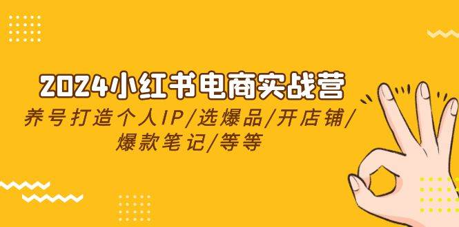 2024小红书电商实战营，养号打造IP/选爆品/开店铺/爆款笔记/等等（24节）-春生副业网 